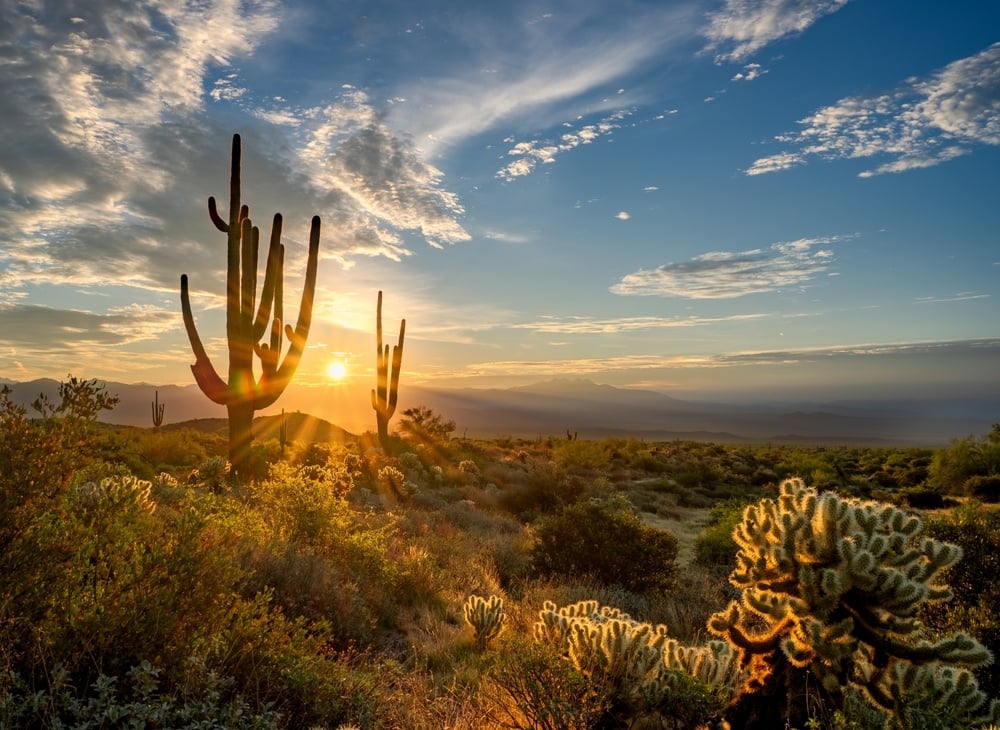 Join us at the 2024 TCIV West Conference in Scottsdale, AZ, on December 9 - 11, 2024