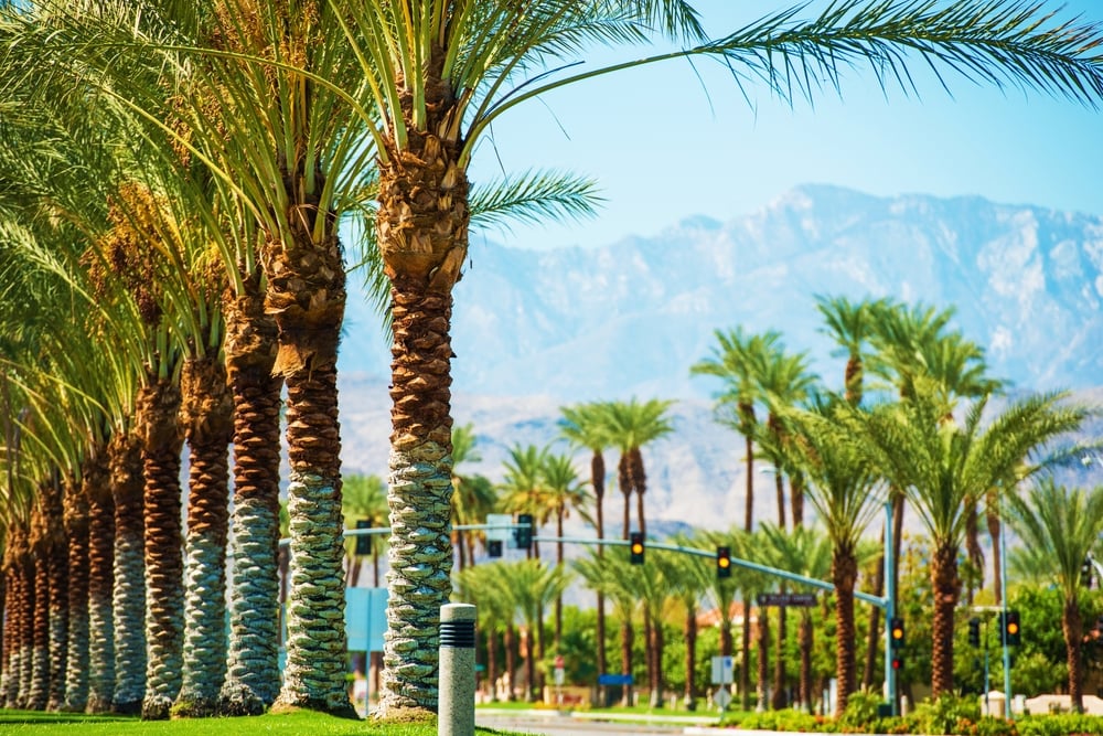 Visit us the 24 West Coast Symposium Conference in Palm Springs, California on May 30 - June 1, 2024